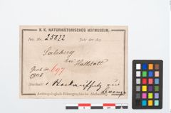 Foto von Bronzezierbeil (NHMW-PRAE-025822)